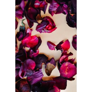 Dry Rose Leaves